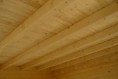 /album/galeria-de-fotos-dedetalhes/p1010749-jpg/